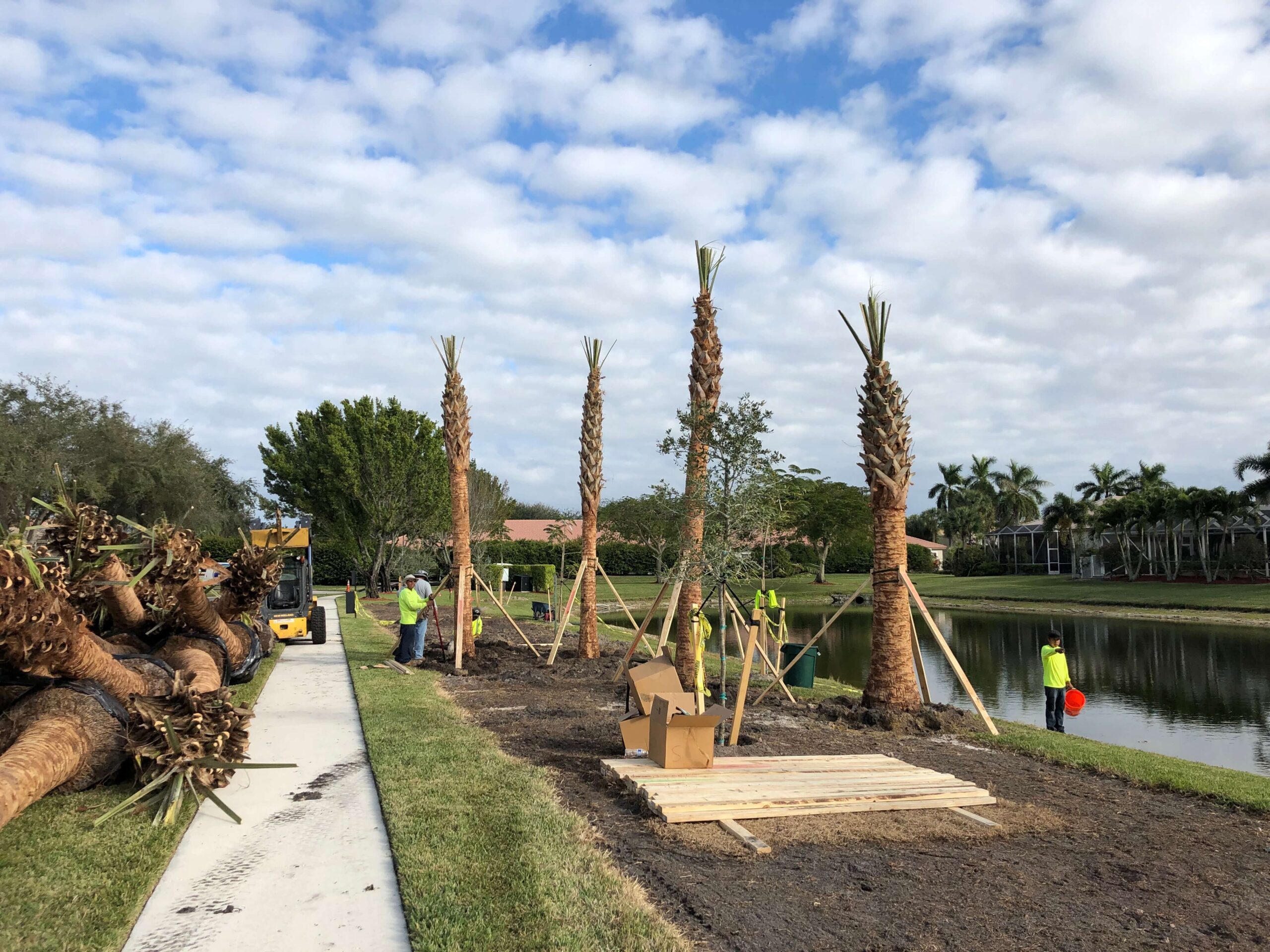 West Palm Beach, Florida Tree Care Services