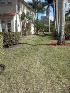West Palm Beach, Florida Drainage Installation