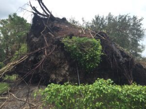West Palm Beach, Florida Hurricane Preparedness