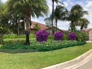 West Palm Beach, Florida Lawn Mowing Service