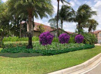West Palm Beach, Florida Landscaping Companies