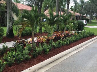 Lake Worth, Florida Landscaping Services
