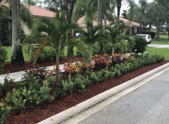 Delray Beach, FL Landscaping Services