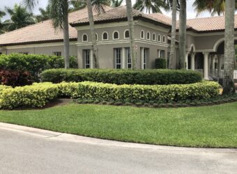 Commercial Lawn Mowing Service for North Palm Beach, FL