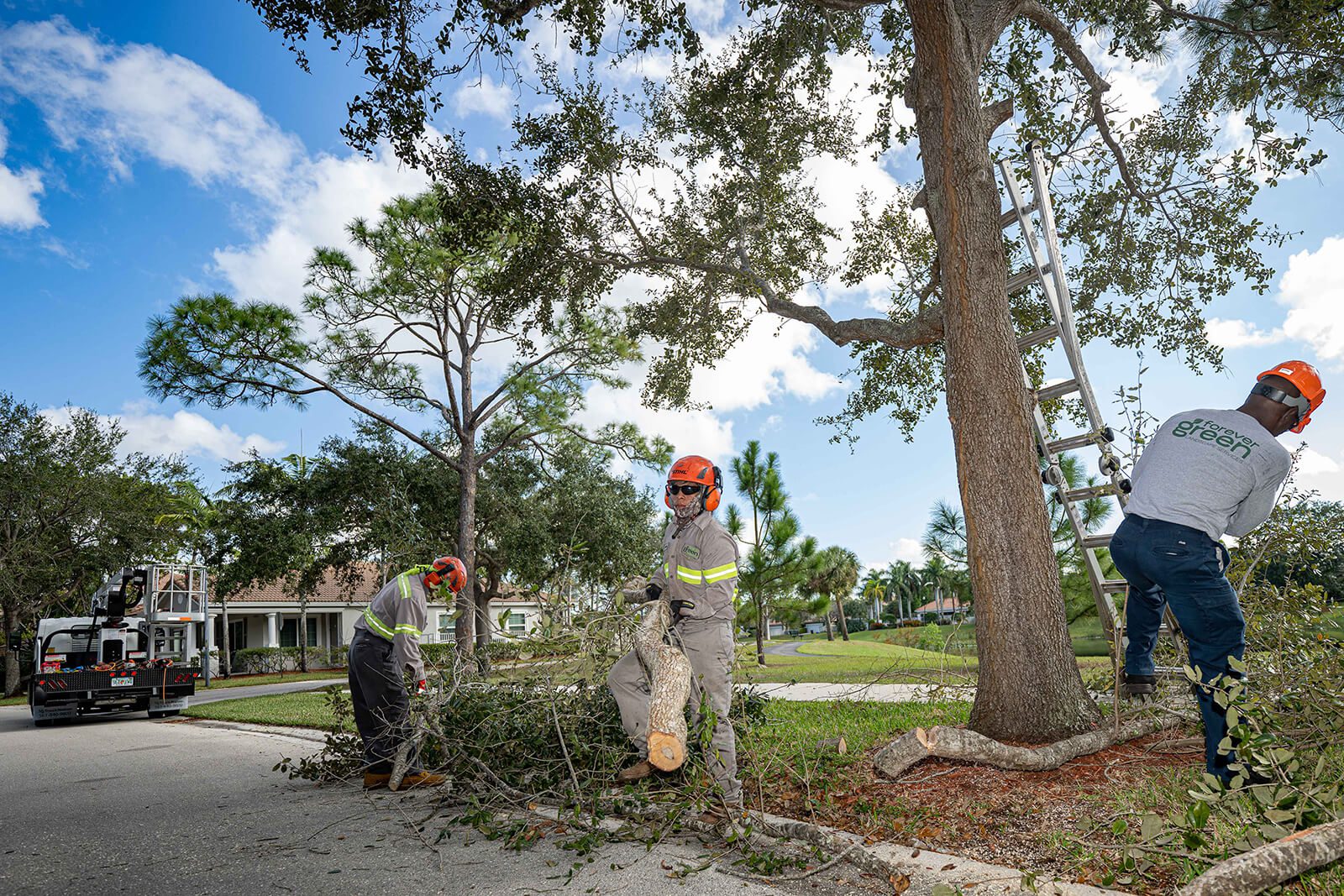 Wellington, FL Tree Care