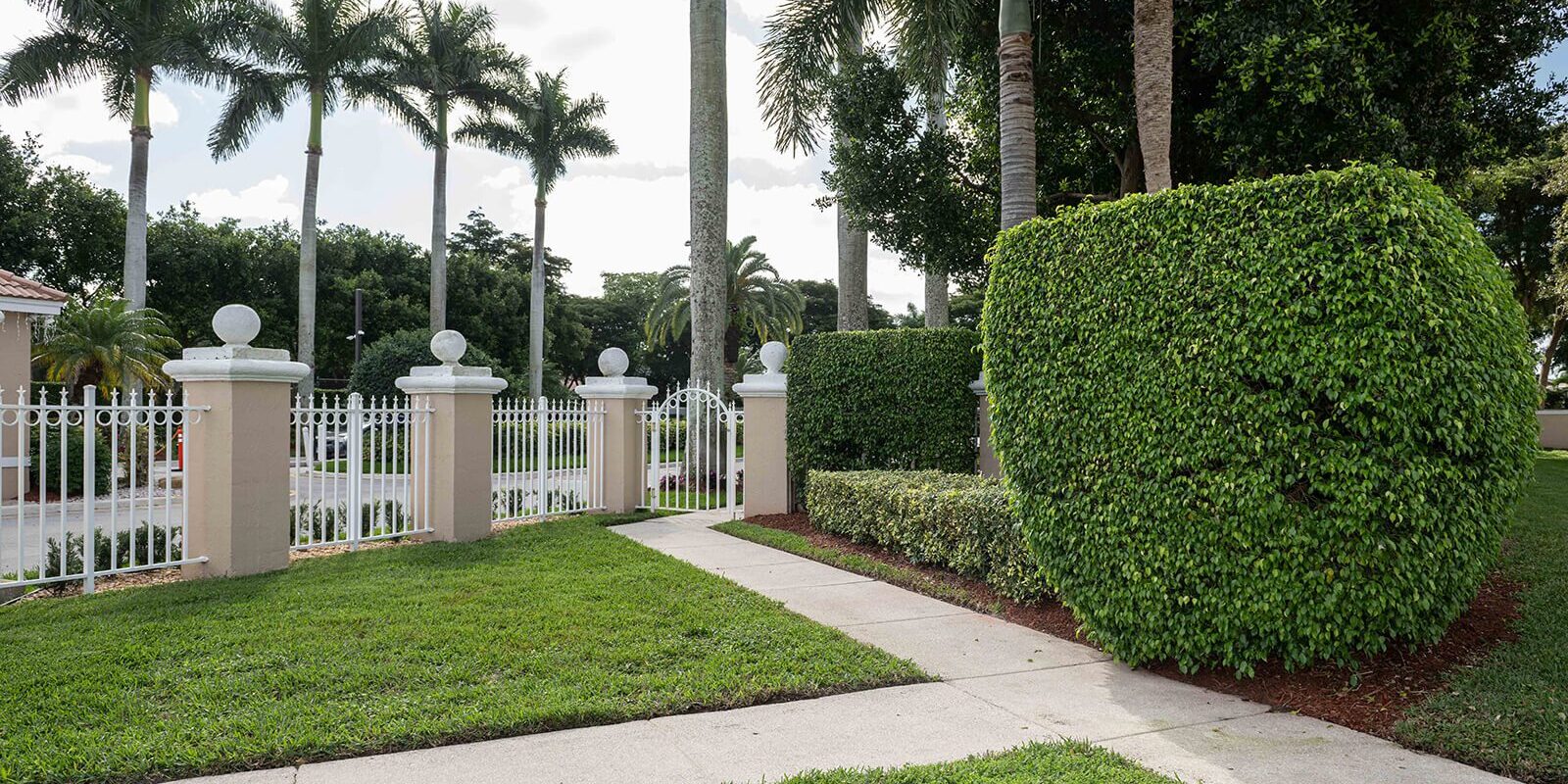 Delray Beach, FL Tree Care