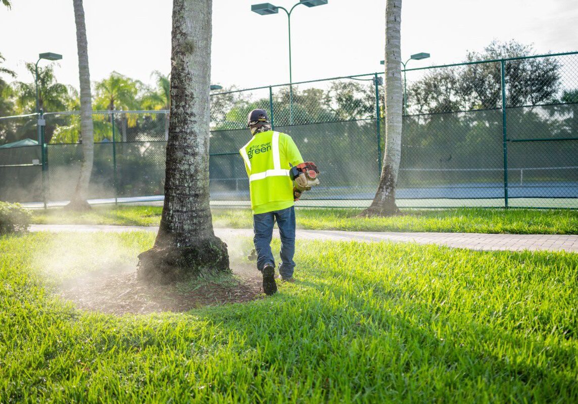 Lawn Mowing Services for Delray Beach, FL