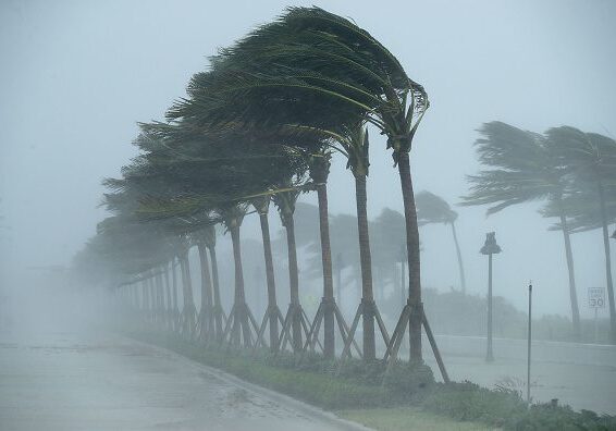West Palm Beach, FL Hurricane Preparedness Services
